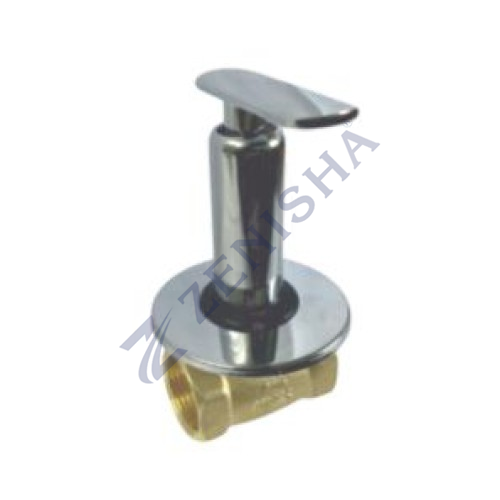 Flush Valve With Flange